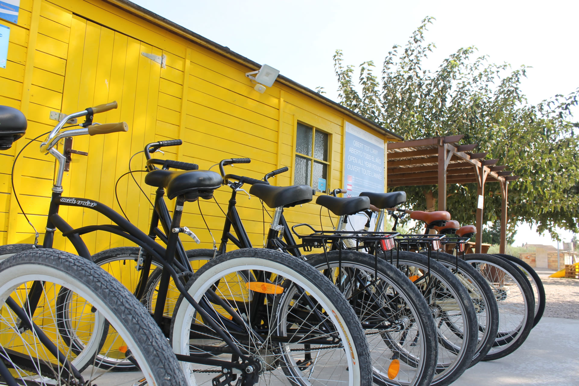 alquiler-bicicletas-delta-ebro-1