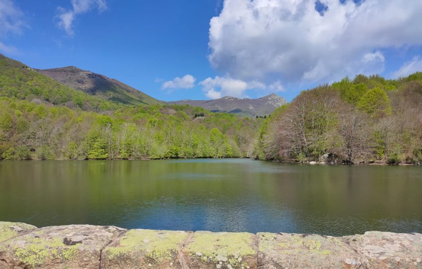 Parque Natural Montseny