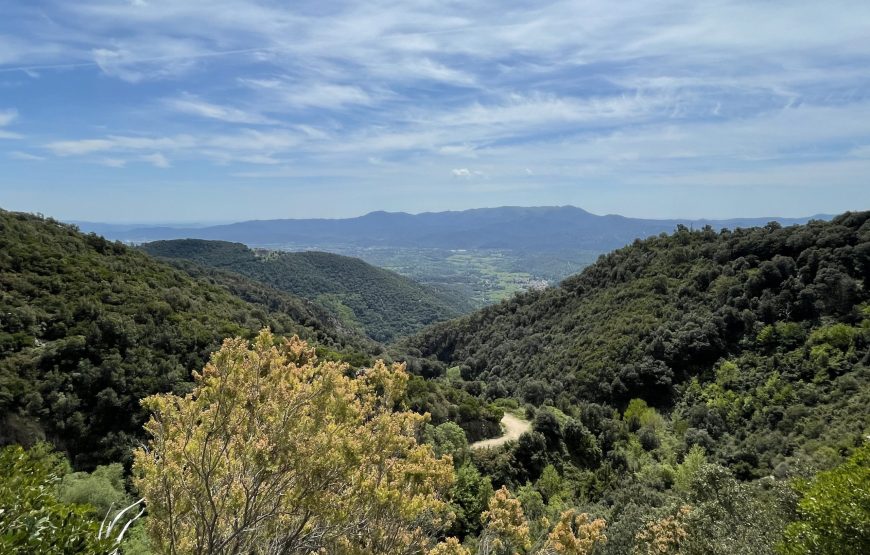 Parque Natural Montseny
