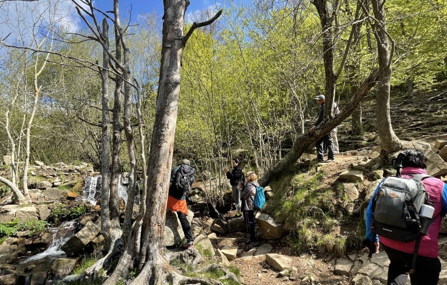 Parque Natural Montseny
